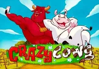 Crazy Cows game thumbnail